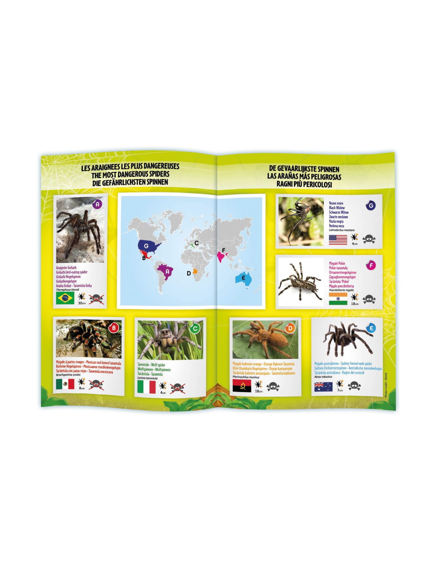 Buki, Tarantula