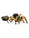 Buki, Tarantula