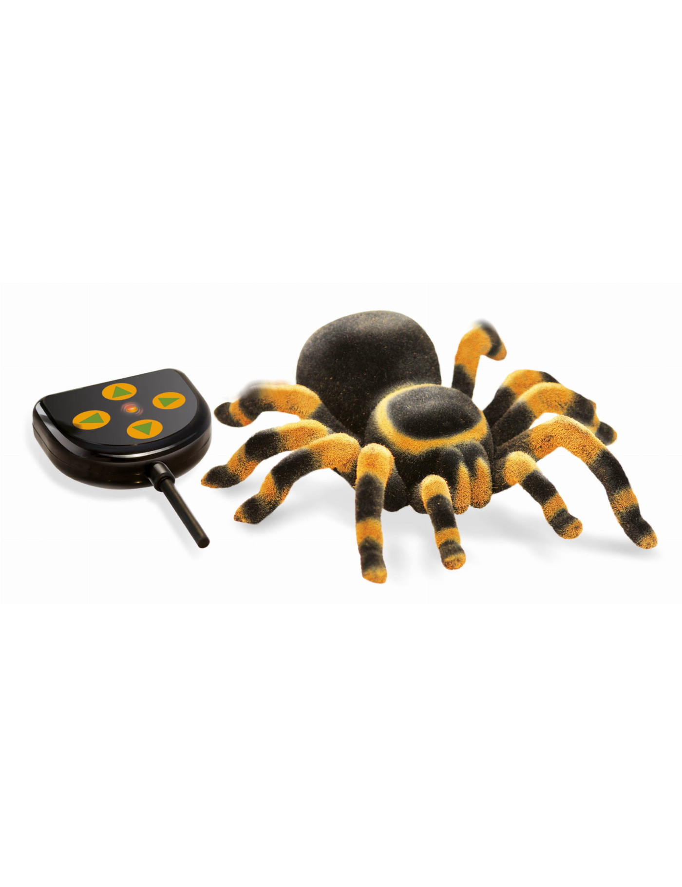 Buki, Tarantula