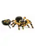 Buki, Tarantula