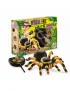 Buki, Tarantula