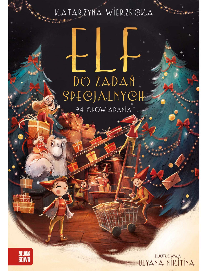 Książka, Elf do zadań specjalnych