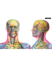Gabinet anatomii, Dwie Siostry