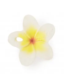 Gryzak Oli and Carol chewy-to-go kwiatek hawaii flower