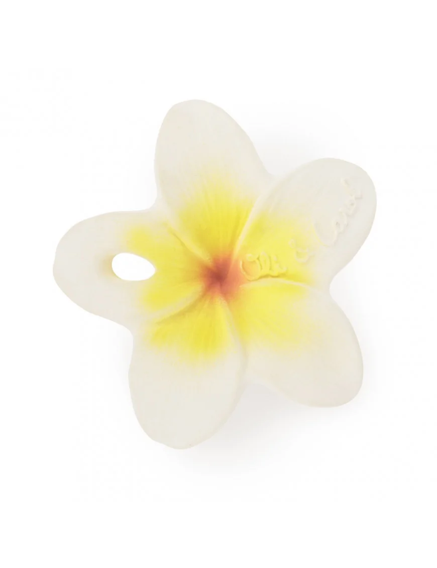 Gryzak Oli and Carol chewy-to-go kwiatek hawaii flower