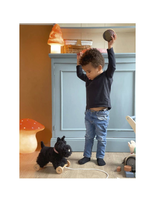 Pluszowy piesek Walter do ciągnięcia | Egmont Toys®