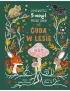 Cuda w lesie. Opowieści 5 minut przed snem
