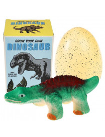 Dinozaur wykluwający się z jajka, zestaw kreatywny, Dinozaury, 3+, Rex London