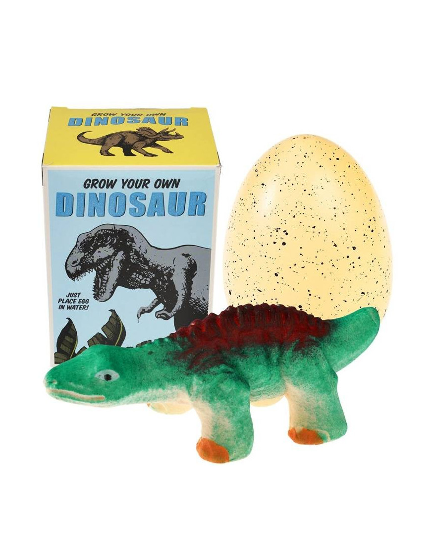 Dinozaur wykluwający się z jajka, zestaw kreatywny, Dinozaury, 3+, Rex London