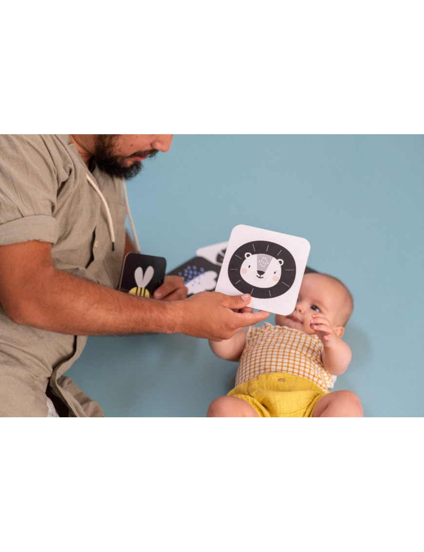 Moje pierwsze karty Tummy-Time Taf Toys Moje pierwsze karty Tummy-Time Taf Toys