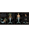 Harper Kids, Historia Naturalna Syren