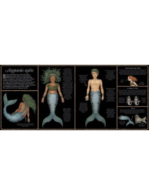 Harper Kids, Historia Naturalna Syren