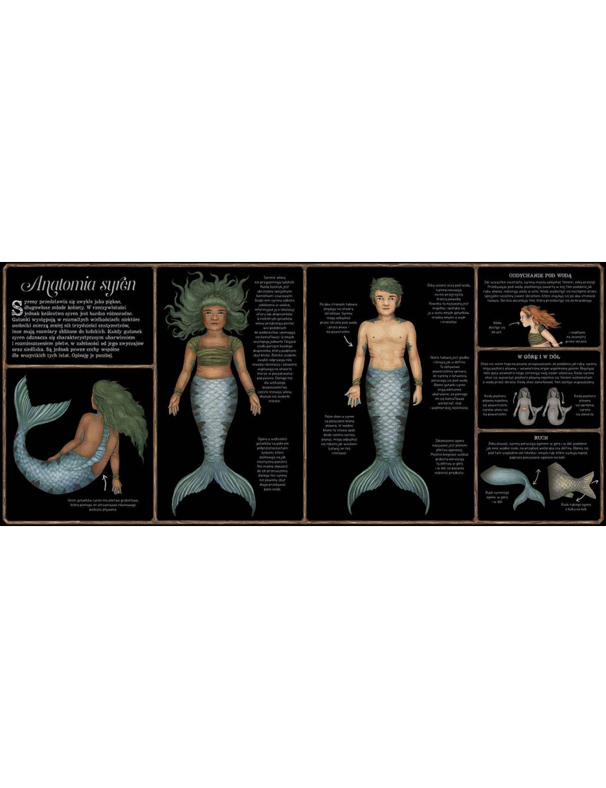Harper Kids, Historia Naturalna Syren