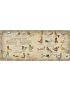 Harper Kids, Historia Naturalna Syren