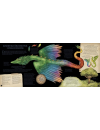 Harper Kids, Historia Stworzeń Magicznych