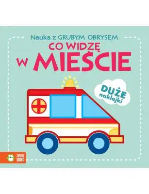 Nauka z grubym obrysem. Co widzę w mieście