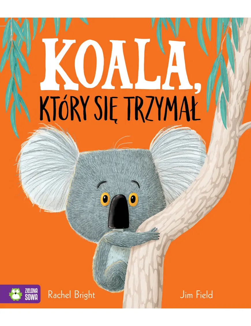 Koala, który się trzymał