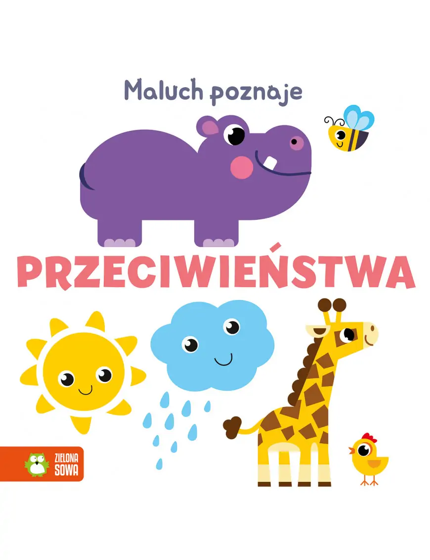 Maluch poznaje. Angielskie słówka