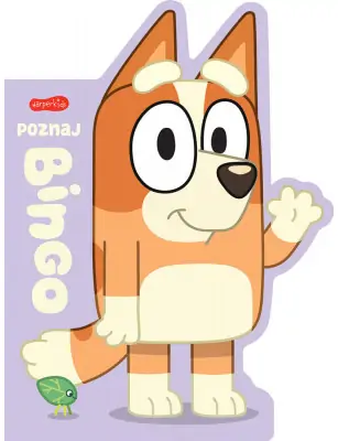 Poznaj Bingo