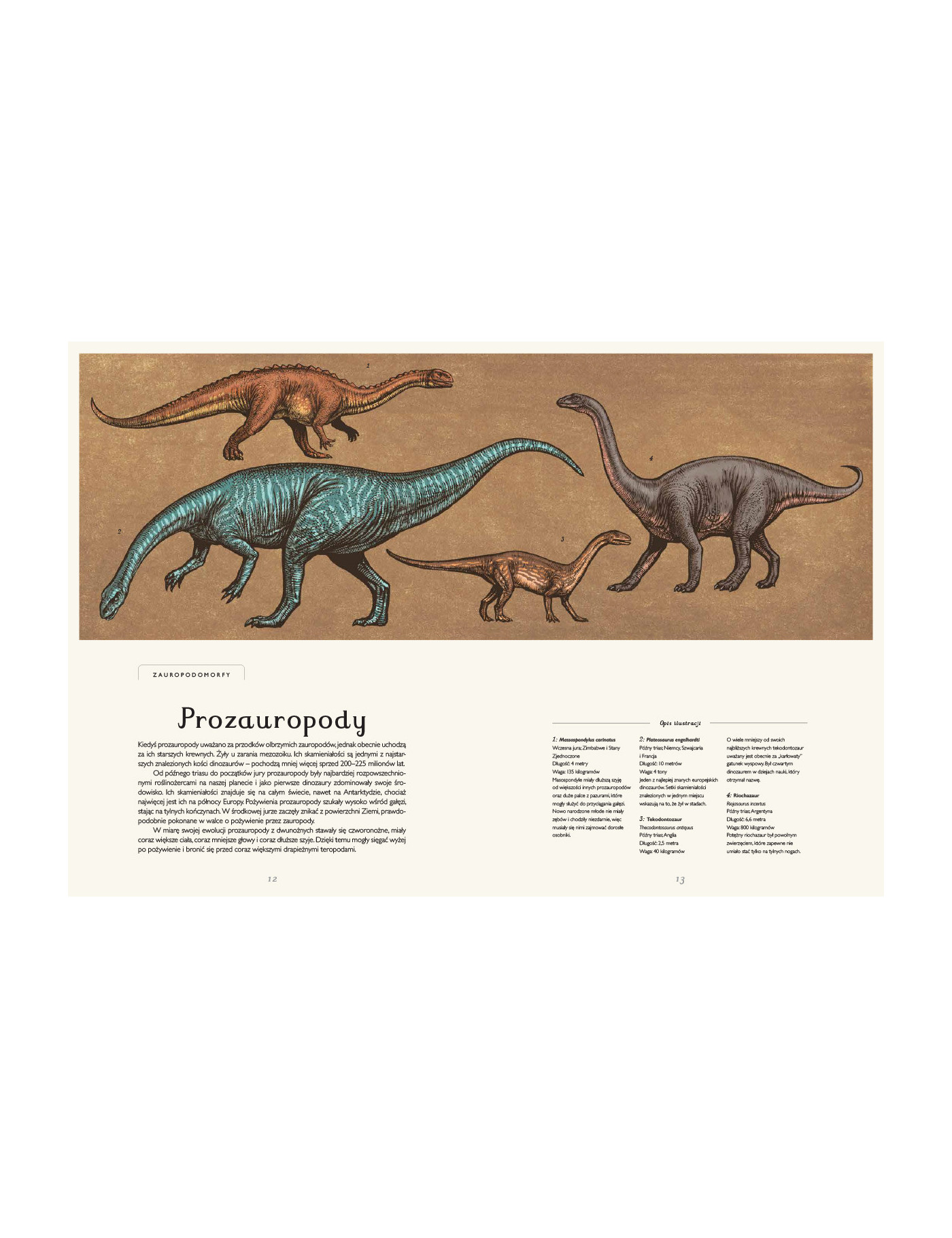 Dinozaurium. Muzeum dinozaurów