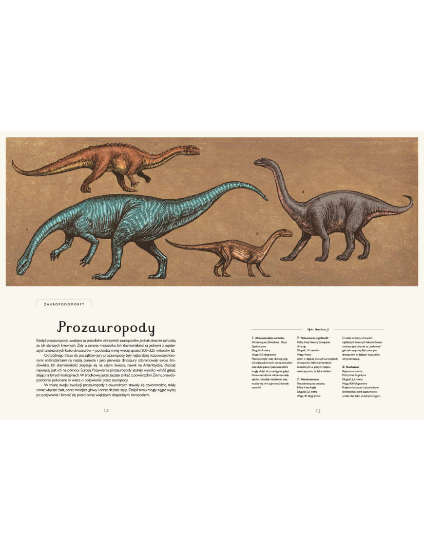 Dinozaurium. Muzeum dinozaurów