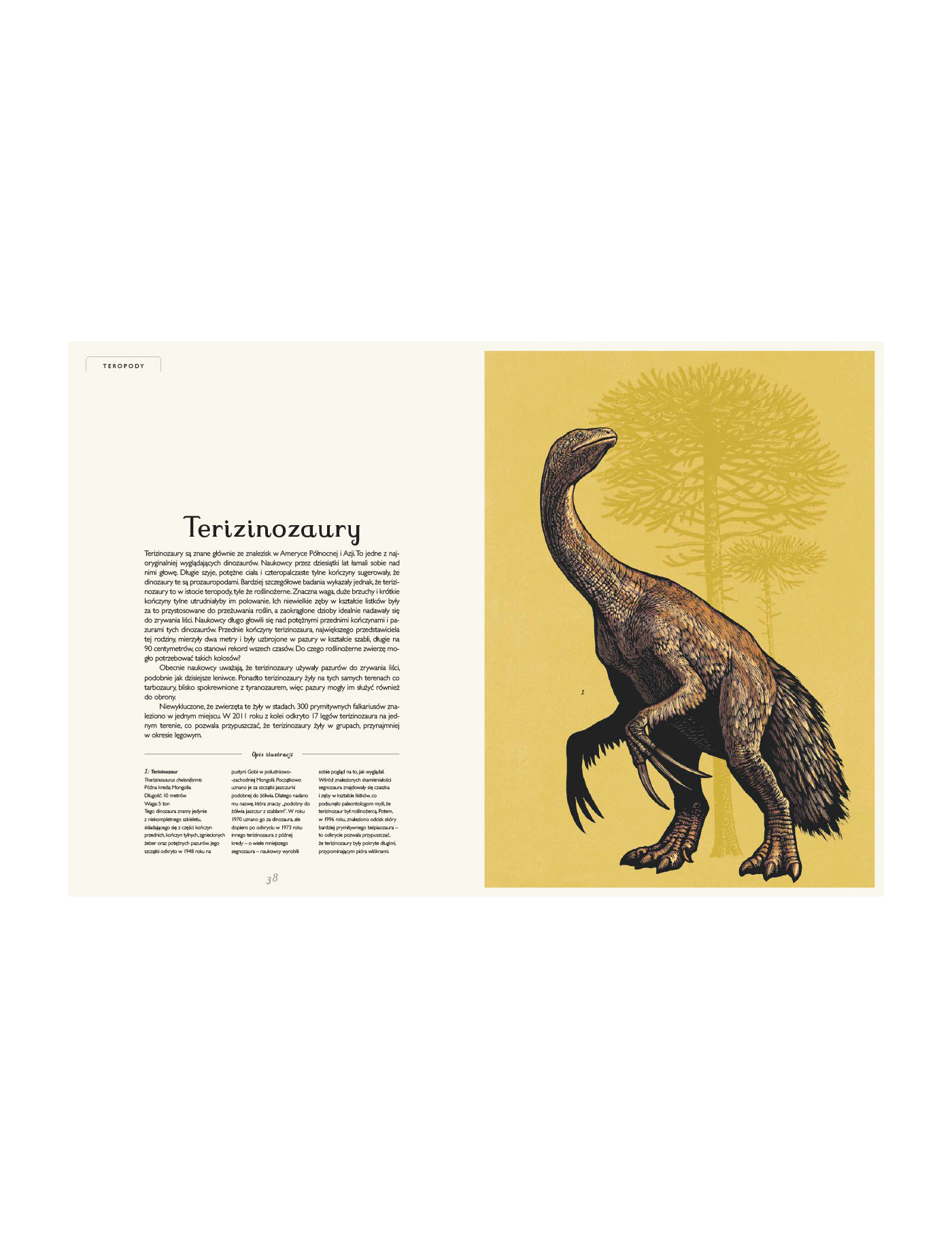 Dinozaurium. Muzeum dinozaurów