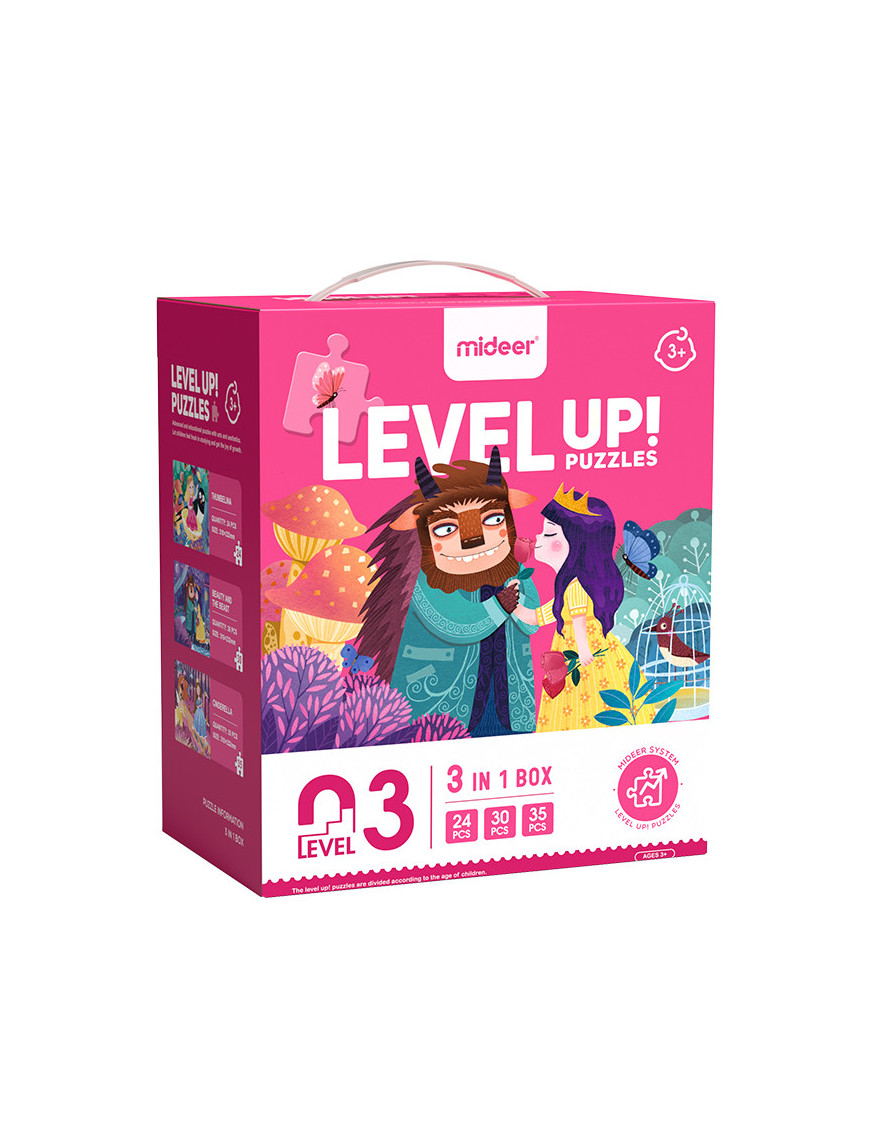 level 3