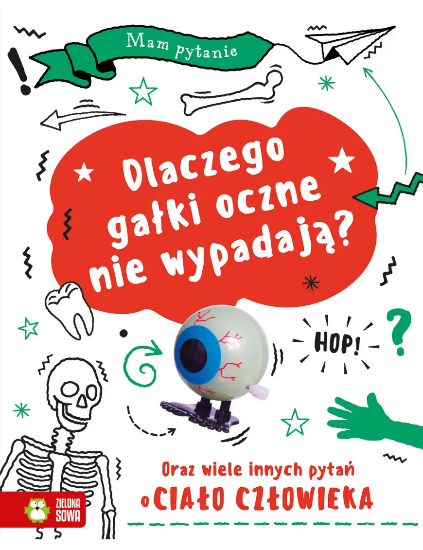 Mam pytanie. Dlaczego gałki oczne nie wypadają? Oraz wiele innych pytań o ciało człowieka