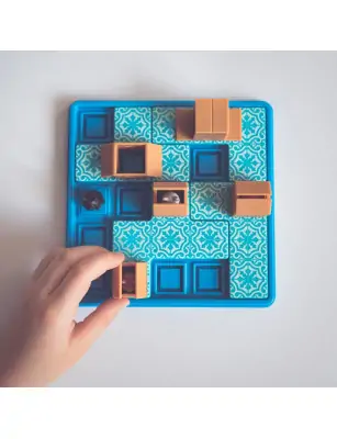 Smart Games Kotełki (PL) IUVI Games