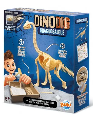 Mały paleontolog - Brachiozaur Buki