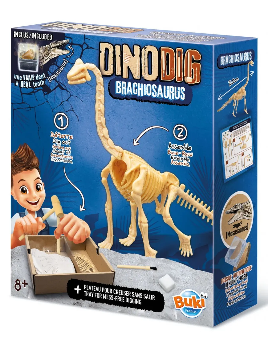 Mały paleontolog - Brachiozaur Buki