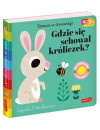 Gdzie się schował króliczek? Akademia Mądrego Dziecka. Zabawa w chowanego Gdzie się schował króliczek? Akademia Mądrego Dziecka. Zabawa w chowanego