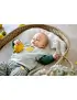 Lassig Bluza z bawełny organicznej GOTS Lemon