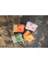 Aparat z natychmiastowym wydrukiem Zoo Print - Bear The Zoo Family