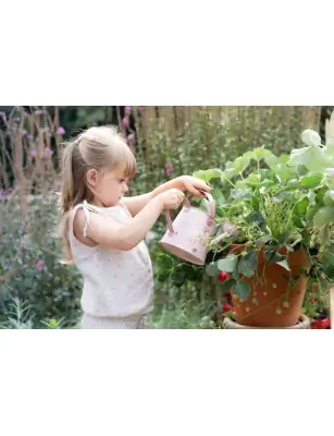 Little Dutch Konewka Fairy Garden