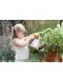 Little Dutch Konewka Fairy Garden