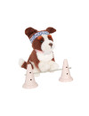 Lalka NATALIA 46cm – z PIESKIEM rasy Border Collie i akcesoriami do treningu Our Generation