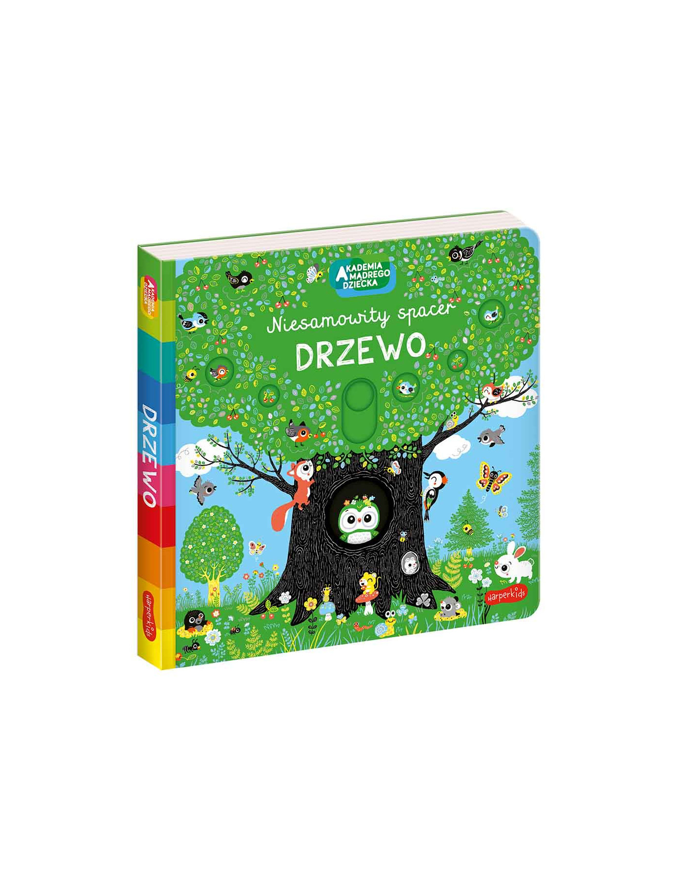 Drzewo. Akademia Mądrego Dziecka. Niesamowity spacer
