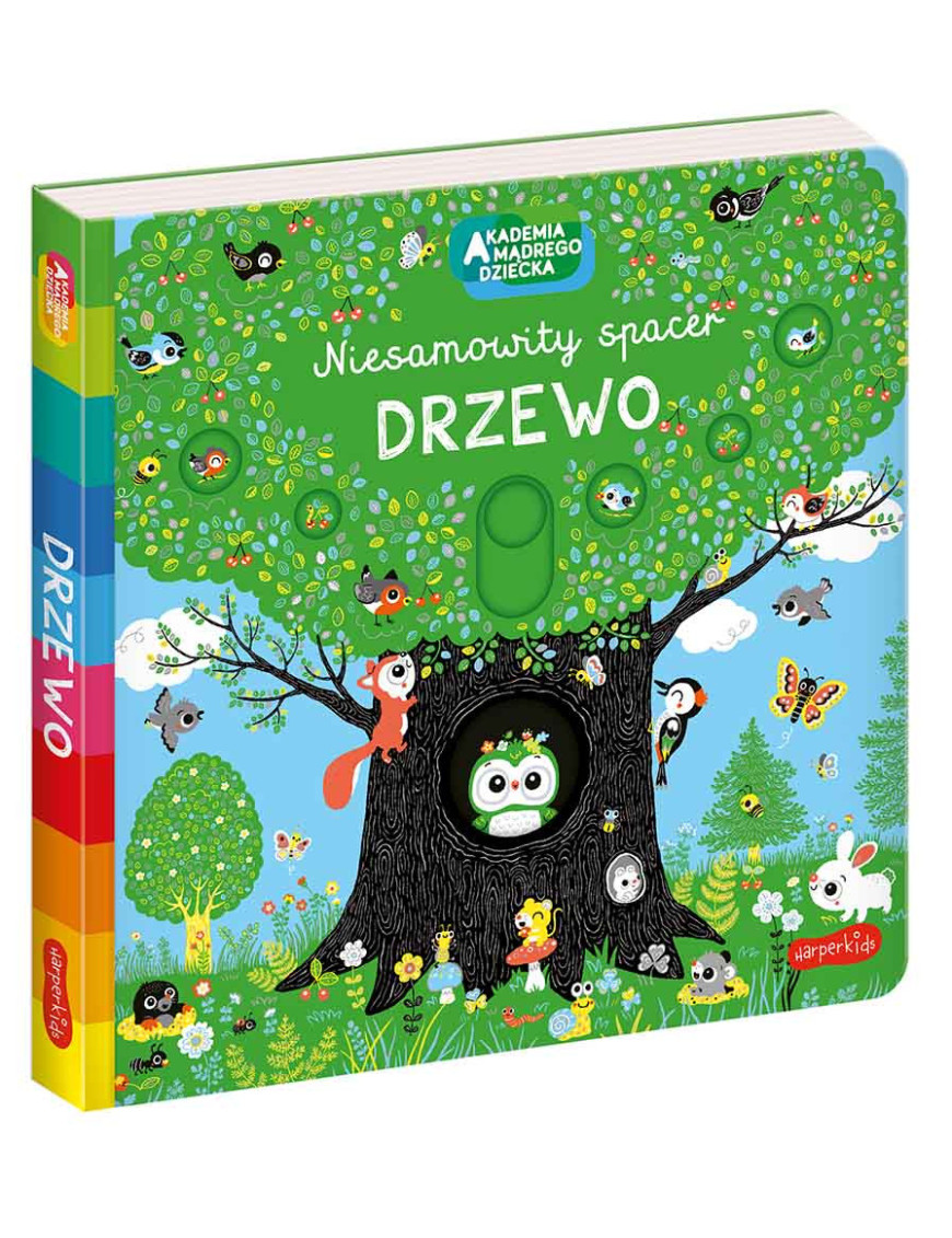 Drzewo. Akademia Mądrego Dziecka. Niesamowity spacer
