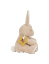 Little Dutch Króliczek aktywizujący Newborn Naturals