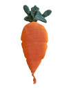 Poduszka Cathy the Carrot Lorena Canals