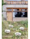Kosz Pink Nose Sheep Lorena Canals Kosz Pink Nose Sheep Lorena Canals