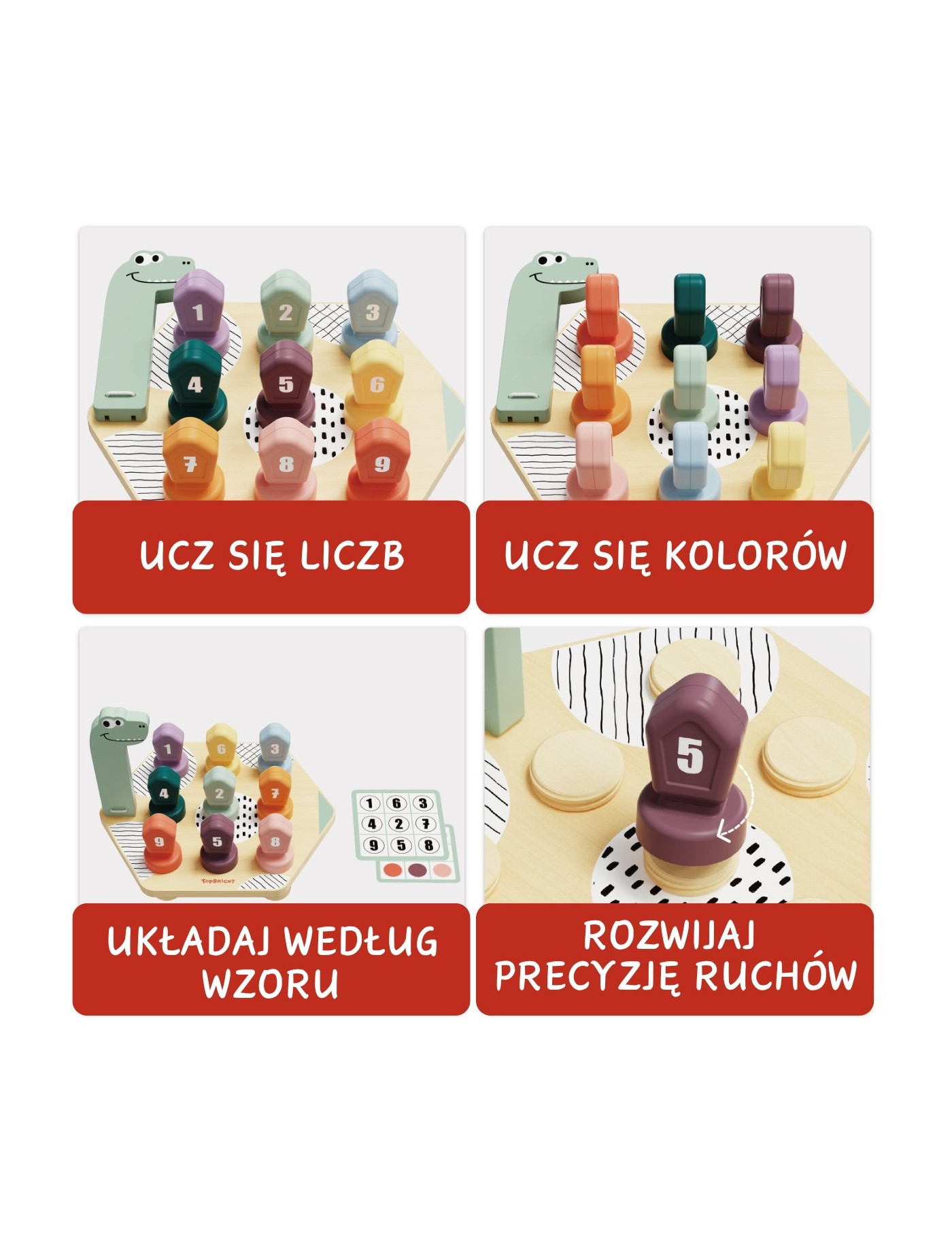 Gra do nauki kolorów i liczb Dino 36m+, Topbright