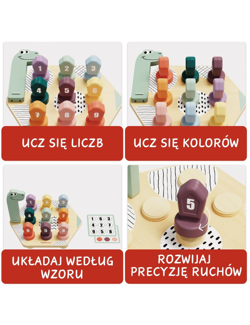 Gra do nauki kolorów i liczb Dino 36m+, Topbright
