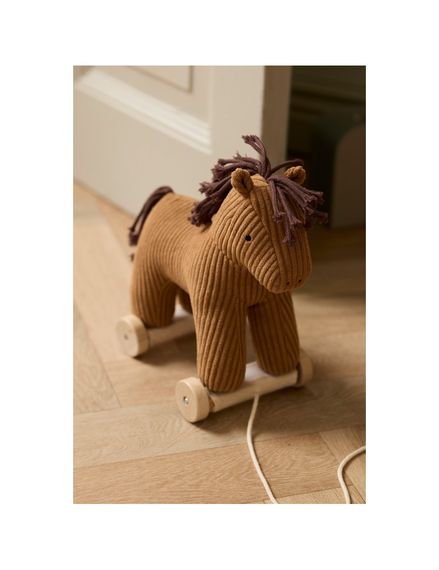 Kid's Concept - Konik do ciągnięcia Vera AIDEN