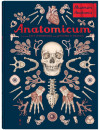 Anatomicum. Muzeum Anatomii Anatomicum. Muzeum Anatomii