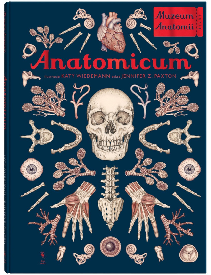 Anatomicum. Muzeum Anatomii Anatomicum. Muzeum Anatomii