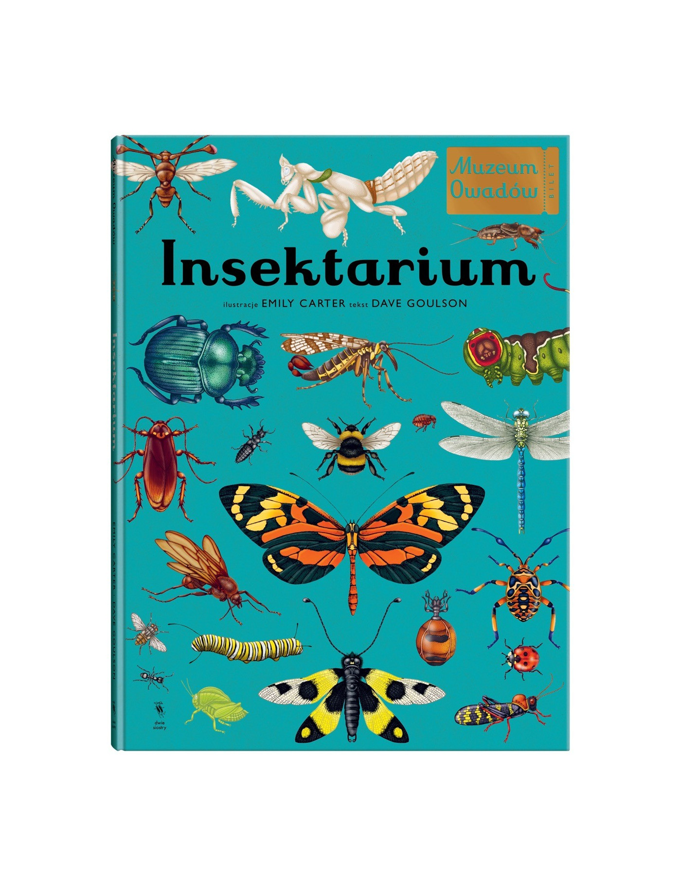 Insektarium. Muzeum Owadów