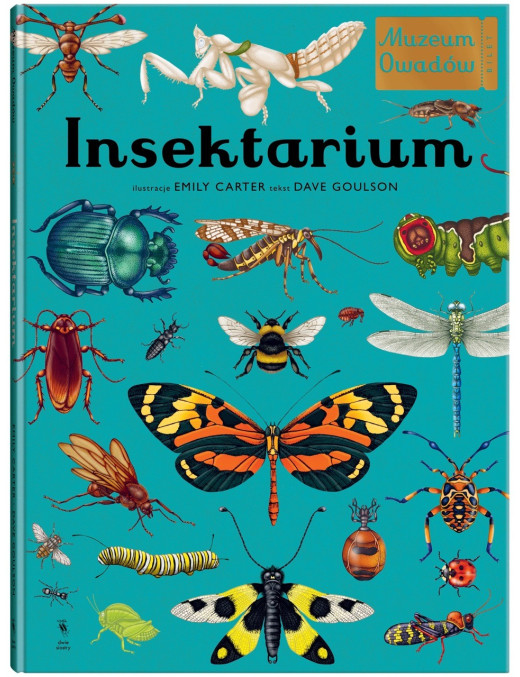 Insektarium. Muzeum Owadów