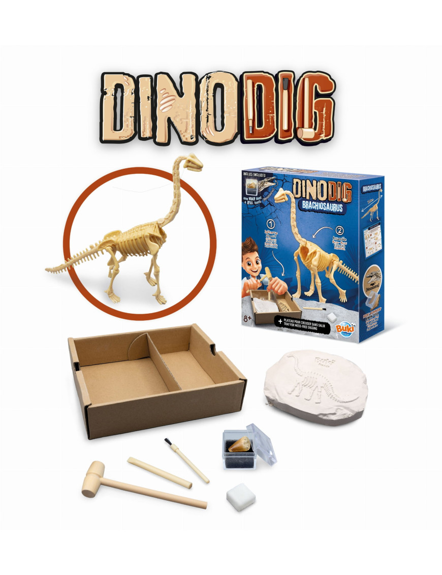 Mały paleontolog - Brachiozaur Buki